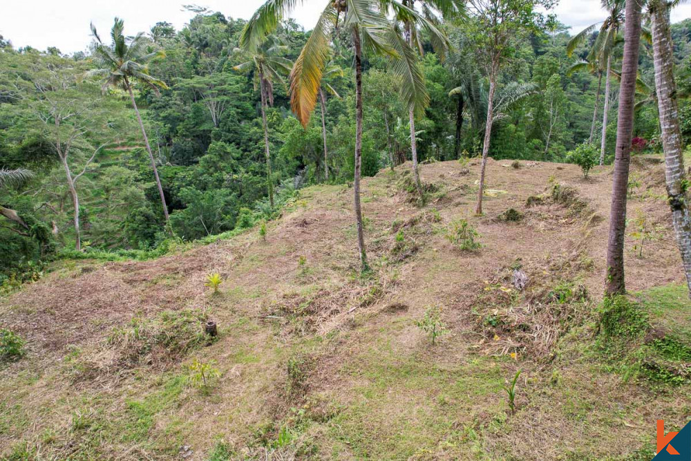 Investasi ideal dengan pemandangan hutan di sebidang tanah hak guna usaha di Ubud