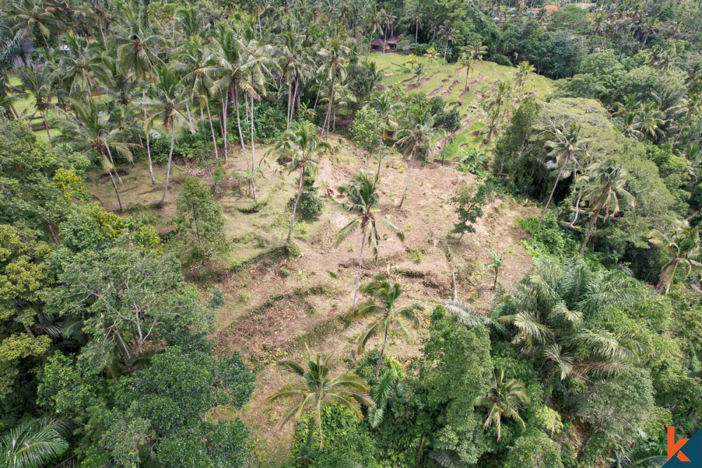 Investasi ideal dengan pemandangan hutan di sebidang tanah hak guna usaha di Ubud