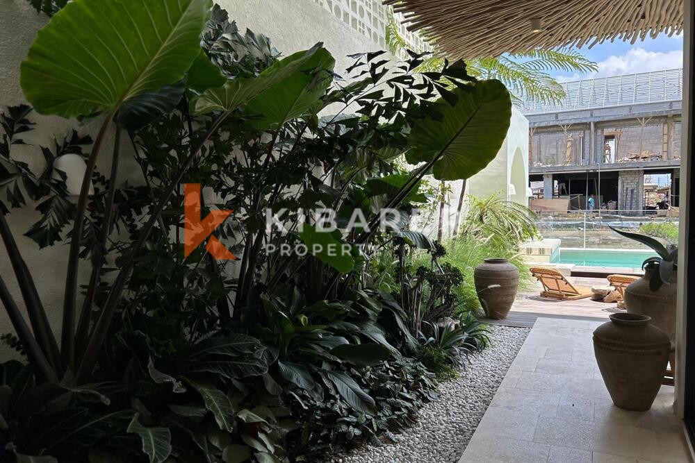 Stylish Minimalist Three Bedroom Enclosed Living Mediterranean Villa in Kerobokan