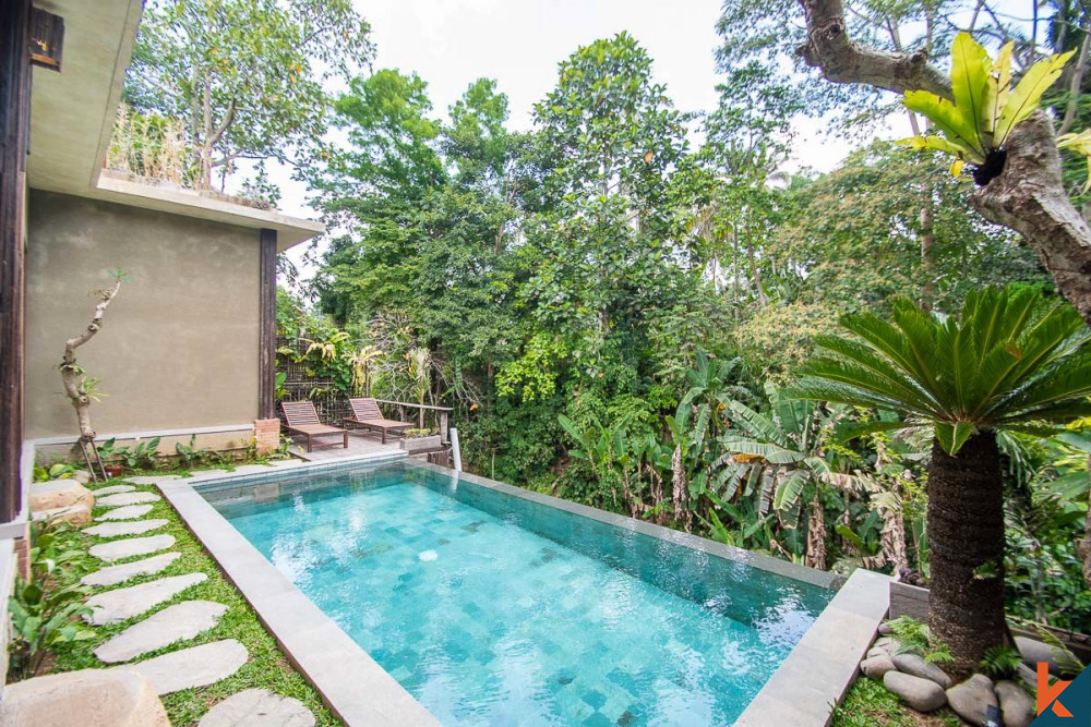 New jungle view leasehold two bedroom villa in Payangan