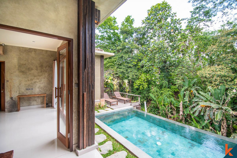 New jungle view leasehold two bedroom villa in Payangan