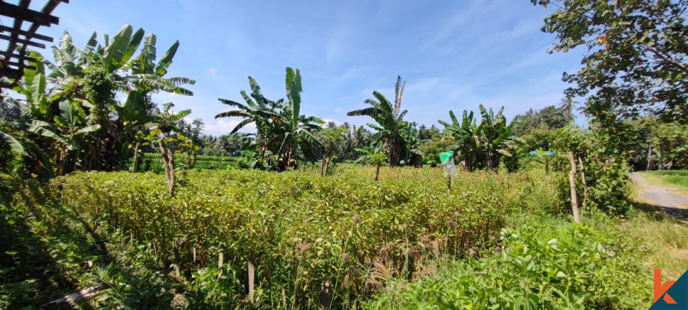 Charmant terrain de 3,56 ares à Singapadu