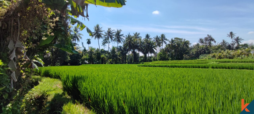 Charmant terrain de 3,56 ares à Singapadu