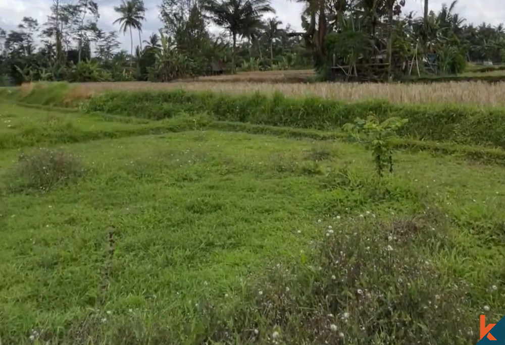 Terrain de 31 ares dans la ville pittoresque de Tampaksiring