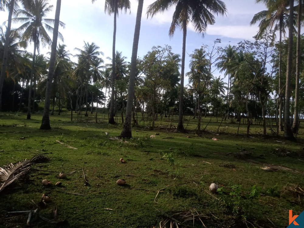 Besar 96,12 Are Tanah Hak Milik yang dekat dengan Pantai Lombok