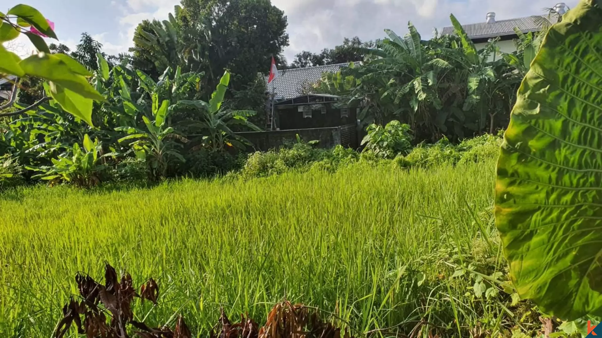 10 ares de terrain dans un emplacement privilégié à Kerobokan